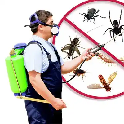 pest control Triumph